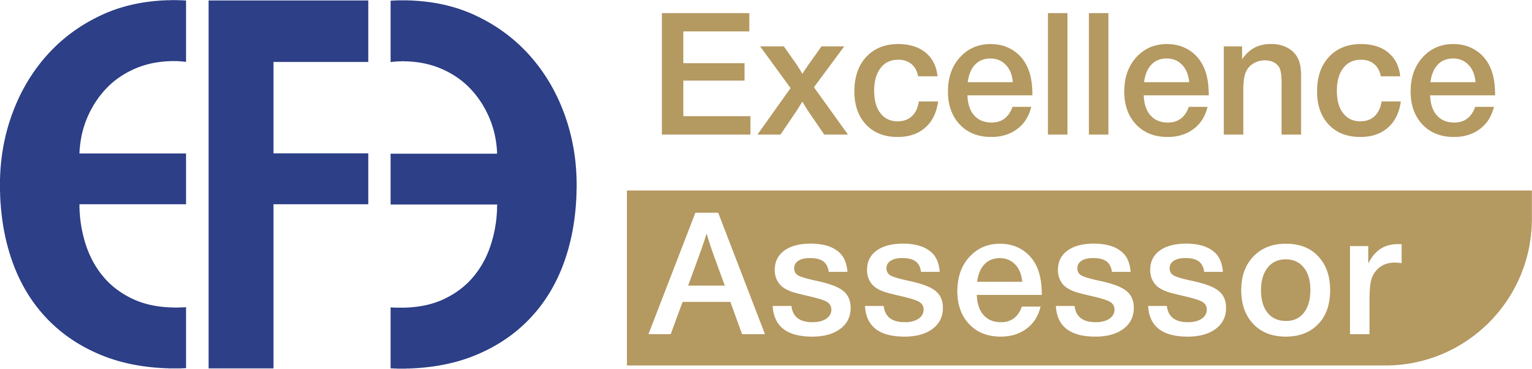 ILEP Excellence Assessor 2025